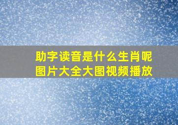 助字读音是什么生肖呢图片大全大图视频播放