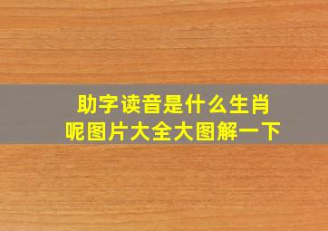 助字读音是什么生肖呢图片大全大图解一下