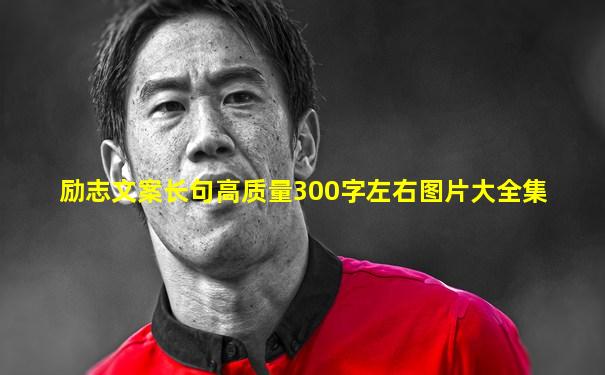 励志文案长句高质量300字左右图片大全集