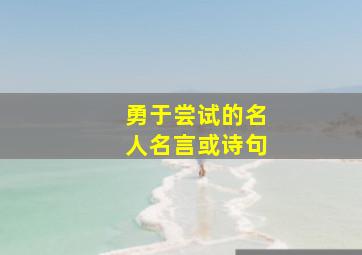 勇于尝试的名人名言或诗句