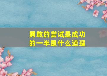 勇敢的尝试是成功的一半是什么道理