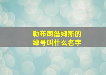 勒布朗詹姆斯的绰号叫什么名字