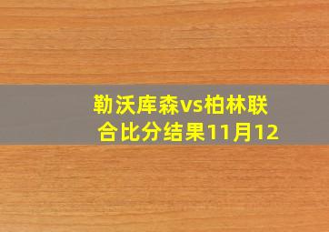 勒沃库森vs柏林联合比分结果11月12