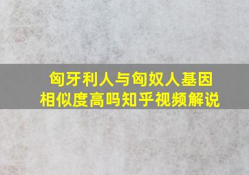 匈牙利人与匈奴人基因相似度高吗知乎视频解说