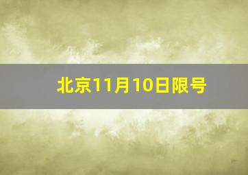 北京11月10日限号