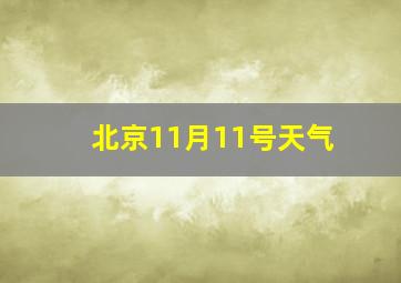 北京11月11号天气