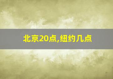 北京20点,纽约几点