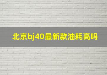 北京bj40最新款油耗高吗