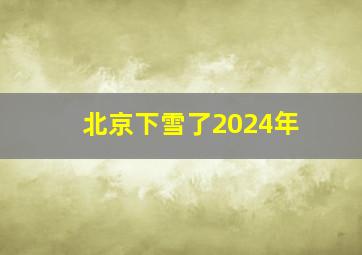 北京下雪了2024年