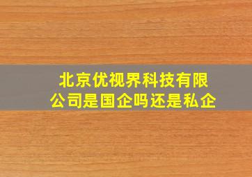 北京优视界科技有限公司是国企吗还是私企