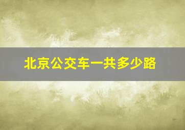 北京公交车一共多少路