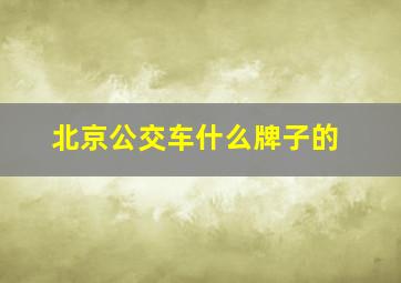 北京公交车什么牌子的