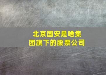 北京国安是啥集团旗下的股票公司