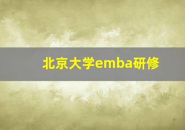 北京大学emba研修