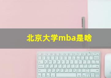 北京大学mba是啥