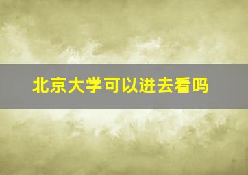 北京大学可以进去看吗