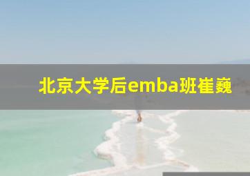 北京大学后emba班崔巍