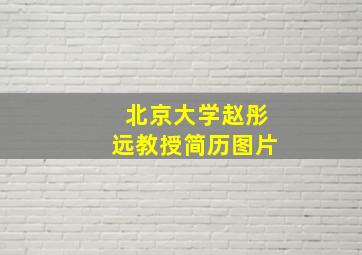 北京大学赵彤远教授简历图片