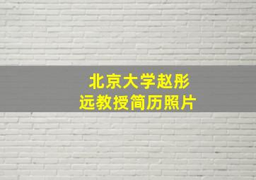 北京大学赵彤远教授简历照片