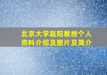 北京大学赵阳教授个人资料介绍及图片及简介