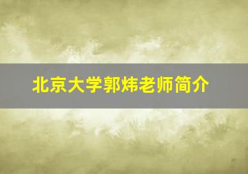 北京大学郭炜老师简介