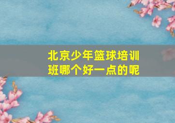 北京少年篮球培训班哪个好一点的呢