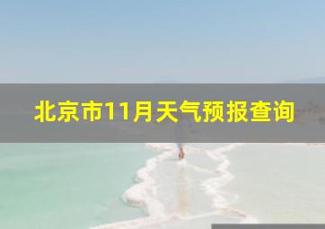 北京市11月天气预报查询