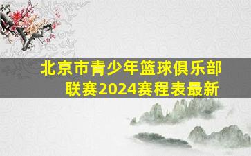 北京市青少年篮球俱乐部联赛2024赛程表最新