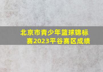 北京市青少年篮球锦标赛2023平谷赛区成绩