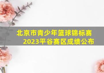 北京市青少年篮球锦标赛2023平谷赛区成绩公布