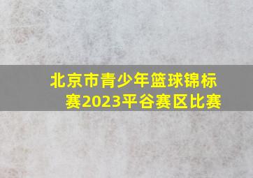 北京市青少年篮球锦标赛2023平谷赛区比赛