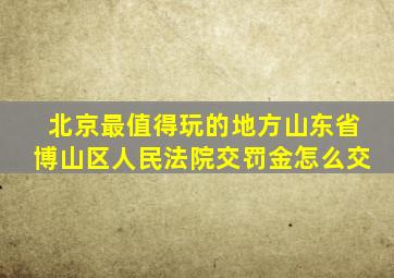 北京最值得玩的地方山东省博山区人民法院交罚金怎么交