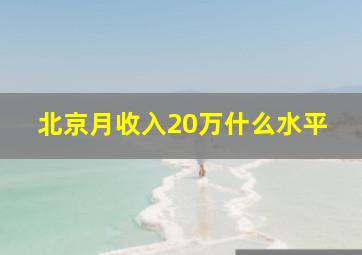 北京月收入20万什么水平