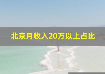 北京月收入20万以上占比