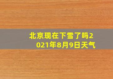 北京现在下雪了吗2021年8月9日天气