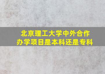 北京理工大学中外合作办学项目是本科还是专科