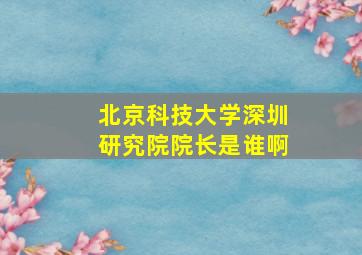 北京科技大学深圳研究院院长是谁啊