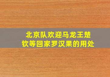 北京队欢迎马龙王楚钦等回家罗汉果的用处