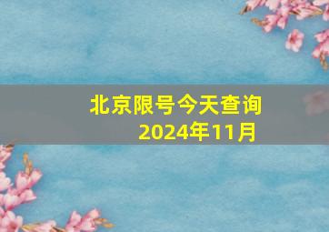 北京限号今天查询2024年11月