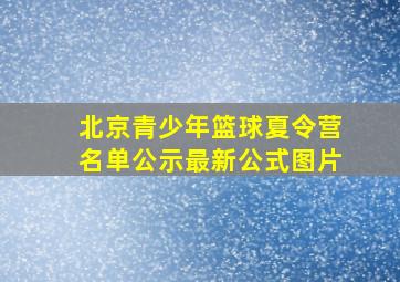 北京青少年篮球夏令营名单公示最新公式图片