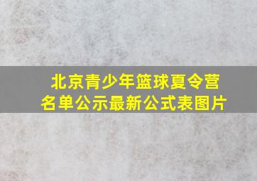 北京青少年篮球夏令营名单公示最新公式表图片