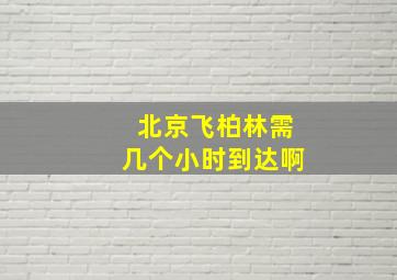 北京飞柏林需几个小时到达啊