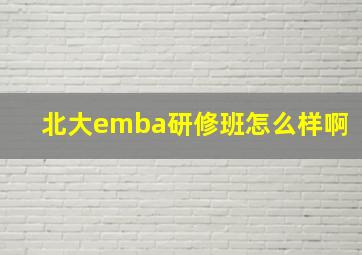 北大emba研修班怎么样啊