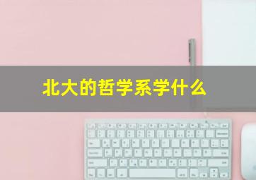 北大的哲学系学什么