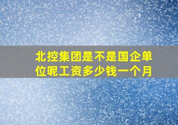 北控集团是不是国企单位呢工资多少钱一个月