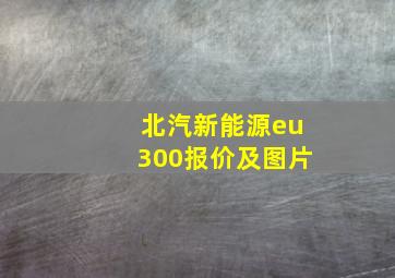 北汽新能源eu300报价及图片