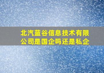 北汽蓝谷信息技术有限公司是国企吗还是私企