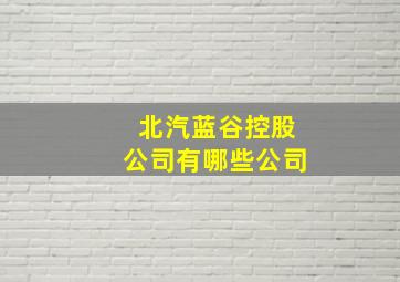 北汽蓝谷控股公司有哪些公司