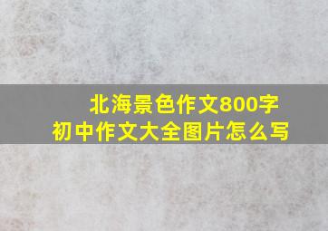 北海景色作文800字初中作文大全图片怎么写