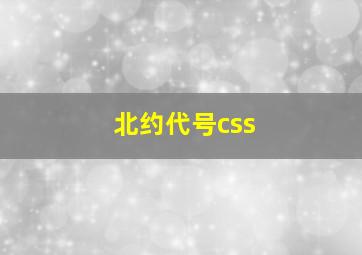 北约代号css